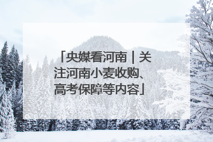 央媒看河南｜关注河南小麦收购、高考保障等内容