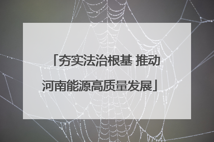 夯实法治根基 推动河南能源高质量发展