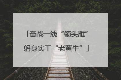 奋战一线“领头雁” 躬身实干“老黄牛”