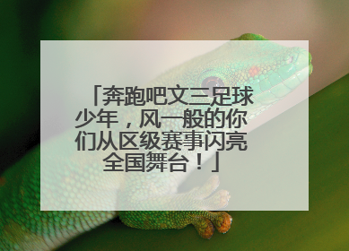 奔跑吧文三足球少年，风一般的你们从区级赛事闪亮全国舞台！