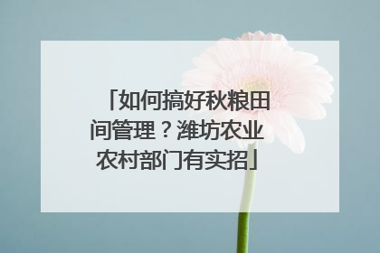 如何搞好秋粮田间管理？潍坊农业农村部门有实招