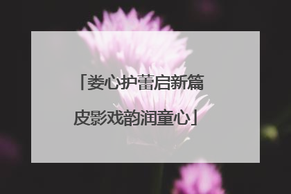 娄心护蕾启新篇 皮影戏韵润童心