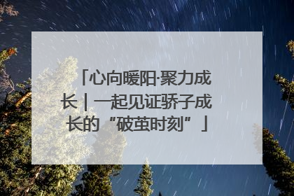 心向暖阳·聚力成长｜一起见证骄子成长的“破茧时刻”