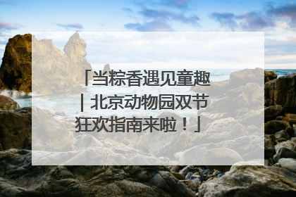 当粽香遇见童趣｜北京动物园双节狂欢指南来啦！