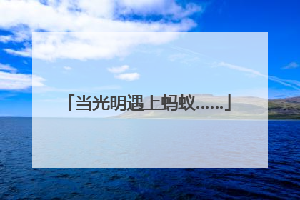 当光明遇上蚂蚁……