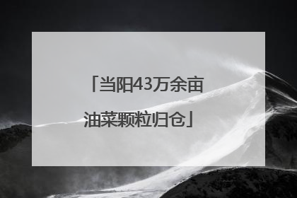 当阳43万余亩油菜颗粒归仓