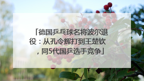 德国乒乓球名将波尔退役：从孔令辉打到王楚钦，同5代国乒选手竞争