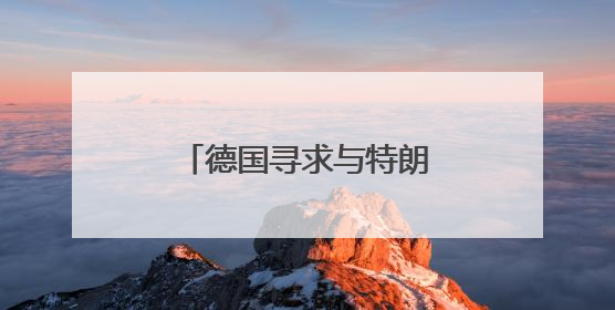 德国寻求与特朗普政府协调涉乌克兰问题立场