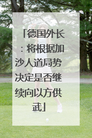 德国外长：将根据加沙人道局势决定是否继续向以方供武