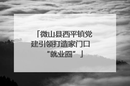 微山县西平镇党建引领打造家门口“就业圈”