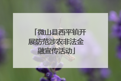微山县西平镇开展防范涉农非法金融宣传活动