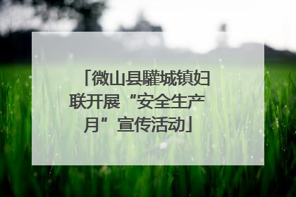 微山县驩城镇妇联开展“安全生产月”宣传活动