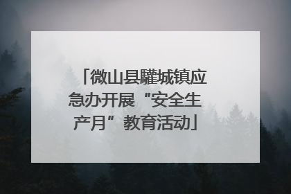 微山县驩城镇应急办开展“安全生产月”教育活动