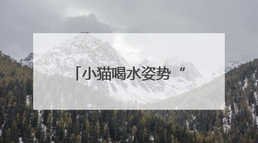 小猫喝水姿势“撞脸”三星堆文物？经求证该文物并非来自三星堆