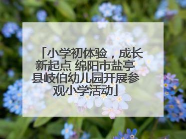 小学初体验，成长新起点 绵阳市盐亭县岐伯幼儿园开展参观小学活动