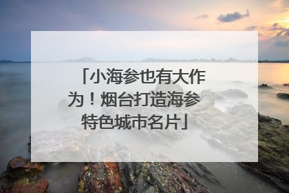 小海参也有大作为！烟台打造海参特色城市名片