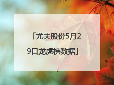 尤夫股份5月29日龙虎榜数据