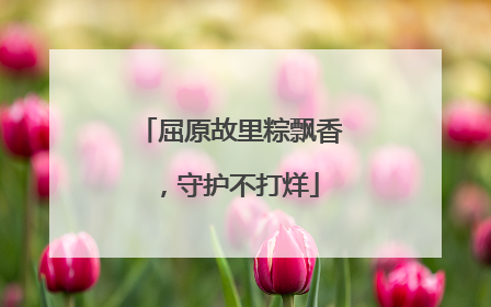 屈原故里粽飘香，守护不打烊