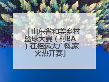 山东省和美乡村篮球大赛（村BA）在招远大户陈家火热开赛