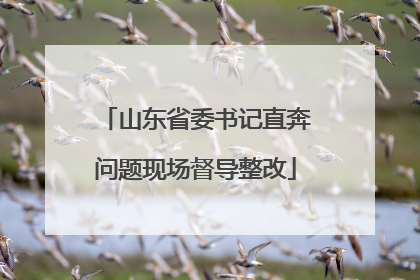 山东省委书记直奔问题现场督导整改