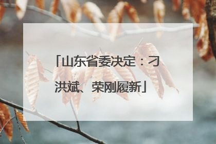 山东省委决定：刁洪斌、荣刚履新