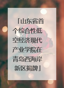 山东省首个综合性低空经济现代产业学院在青岛西海岸新区揭牌