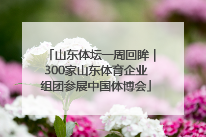 山东体坛一周回眸｜300家山东体育企业组团参展中国体博会