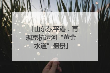 山东东平港：再现京杭运河“黄金水道”盛景
