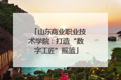 山东商业职业技术学院：打造“数字工匠”摇篮