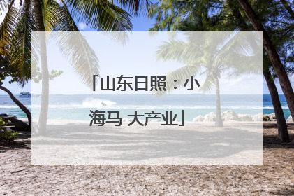 山东日照：小海马 大产业