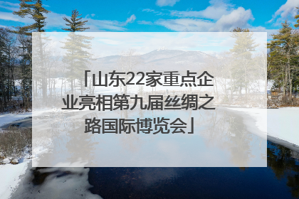 山东22家重点企业亮相第九届丝绸之路国际博览会