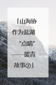 山海协作为盐湖“点睛”——援青故事⑦