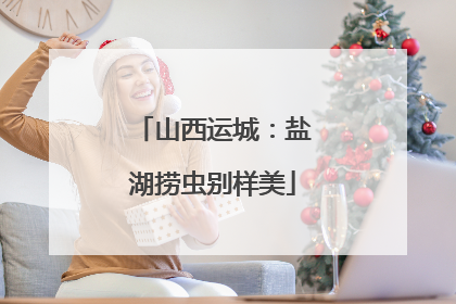 山西运城：盐湖捞虫别样美