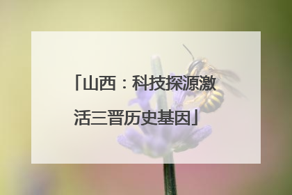 山西：科技探源激活三晋历史基因