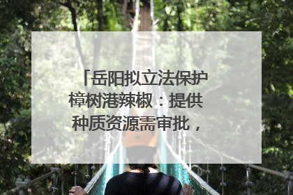 岳阳拟立法保护樟树港辣椒：提供种质资源需审批，违规最高罚5万