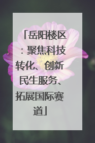 岳阳楼区：聚焦科技转化、创新民生服务、拓展国际赛道