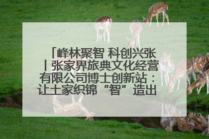 峰林聚智 科创兴张丨张家界旅典文化经营有限公司博士创新站：让土家织锦“智”造出非遗新传奇