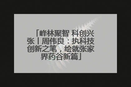 峰林聚智 科创兴张丨周伟良：执科技创新之笔，绘就张家界药谷新篇
