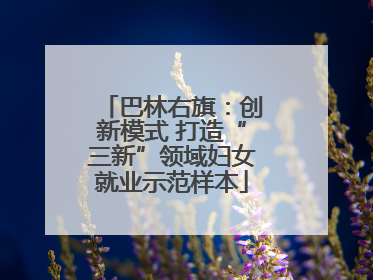 巴林右旗：创新模式 打造“三新”领域妇女就业示范样本