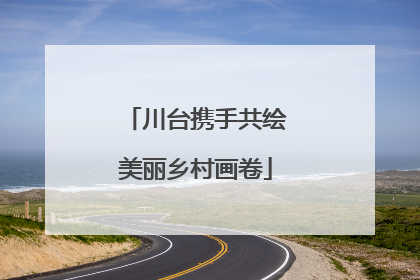川台携手共绘美丽乡村画卷