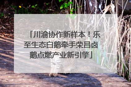 川渝协作新样本！乐至生态白鹅牵手荣昌卤鹅点燃产业新引擎