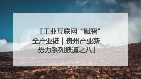 工业互联网“赋智”全产业链｜贵州产业新势力系列报道之八