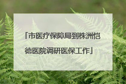 市医疗保障局到株洲恺德医院调研医保工作