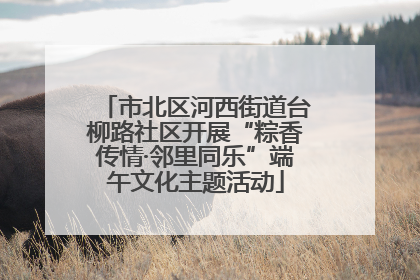 市北区河西街道台柳路社区开展“粽香传情·邻里同乐”端午文化主题活动