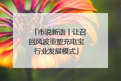市说新语丨让召回风波重塑充电宝行业发展模式