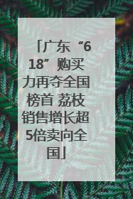 广东“618”购买力再夺全国榜首 荔枝销售增长超5倍卖向全国