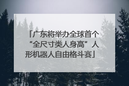 广东将举办全球首个“全尺寸类人身高”人形机器人自由格斗赛