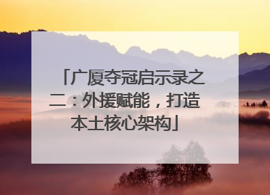 广厦夺冠启示录之二：外援赋能，打造本土核心架构