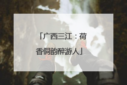 广西三江：荷香侗韵醉游人