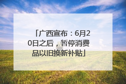 广西宣布：6月20日之后，暂停消费品以旧换新补贴